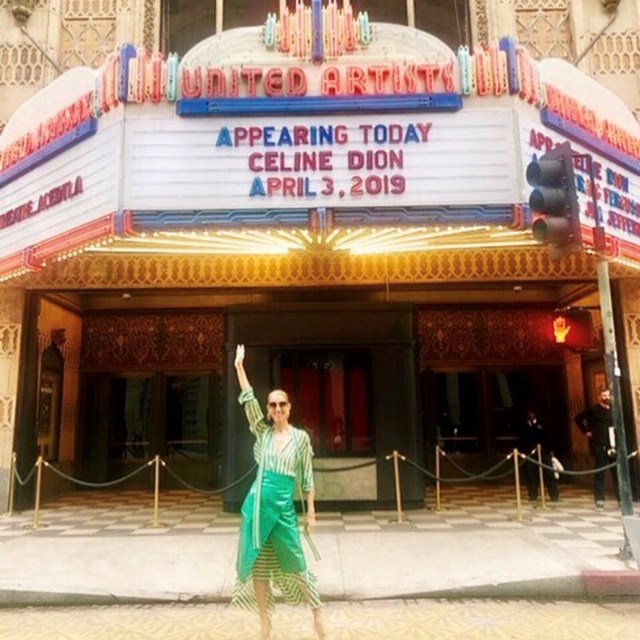 CELINE DION WEARING KATE YOUNG FOR TURA KK541 BRN